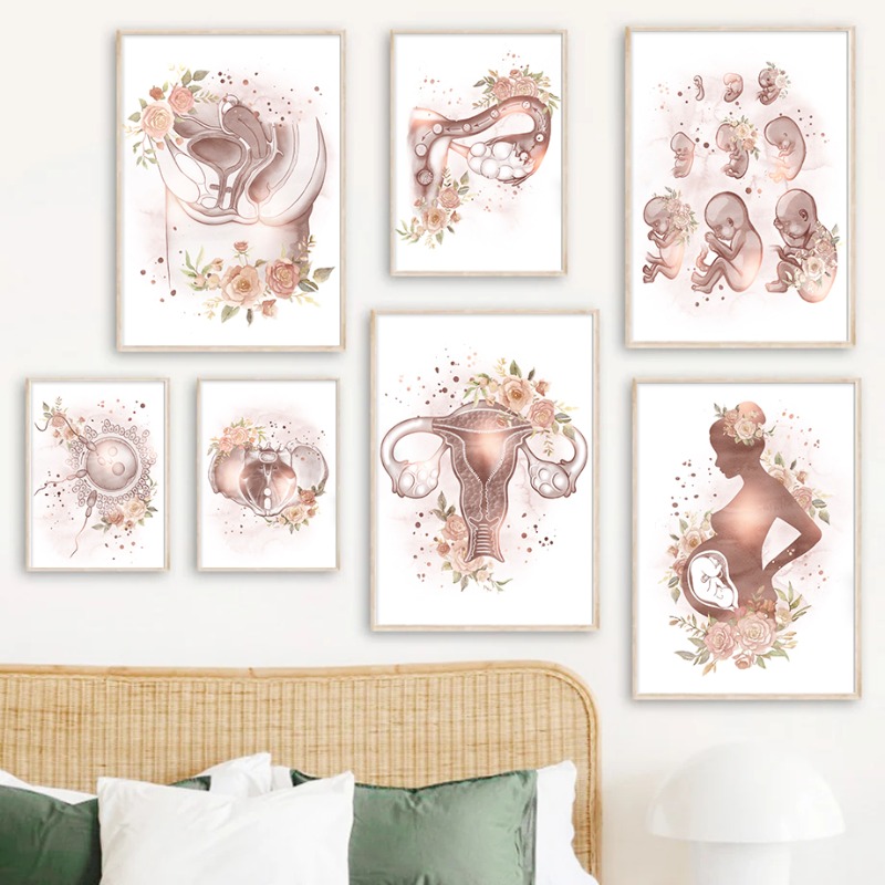 Resin Art Pregnancy - Pôsteres e Impressões de Anatomia Feminina,