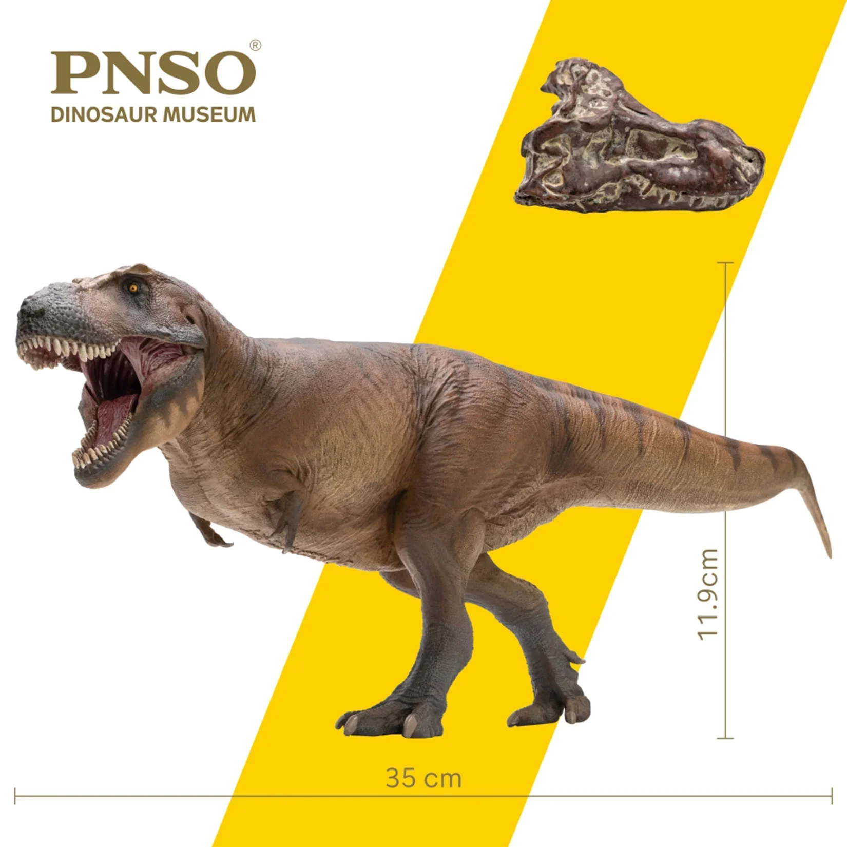 Resin Art Decoration Items - PNSO 1/35 Modelo Tiranossauro Rex Cameron